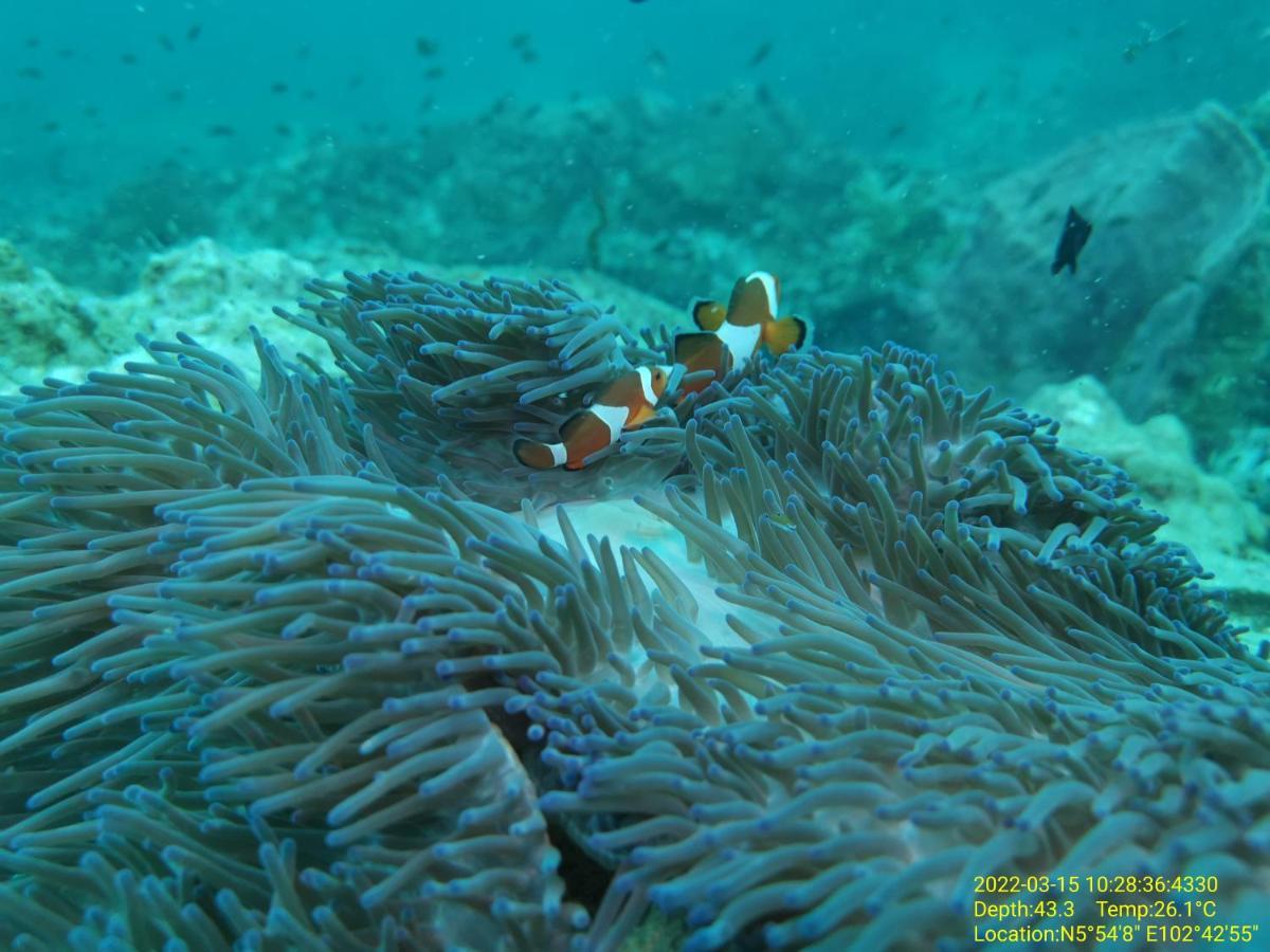 Perhentian Chomel Chalet Экстерьер фото